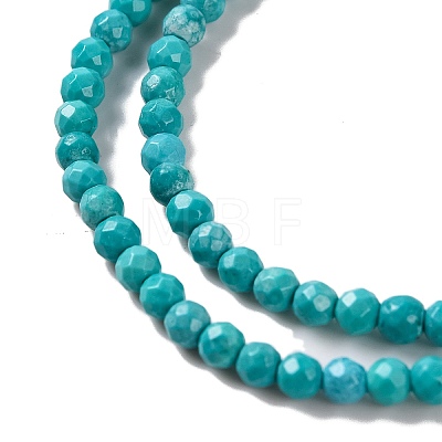 Natural Howlite Beads Strannds G-C025-02A-03-1