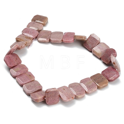 Natural Rhodonite Beads Strands G-C285-A05-01-1
