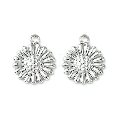 Non-Tarnish 304 Stainless Steel Charms LS-STAS-L269-062P-1