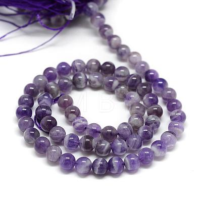 Natural Amethyst Bead Strands G-T049-12mm-23-1