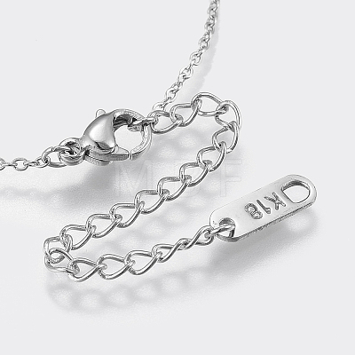 304 Stainless Steel Pendant Necklaces NJEW-I218-04P-1