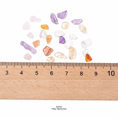 150G 5 Style Natural Mixed Gemstone Chip Beads G-FS0001-09-1