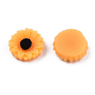 Opaque Resin Cabochons CRES-S307-005A-1