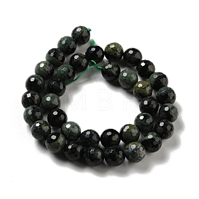 Natural Kambaba Jasper Beads Strands G-E571-41-1