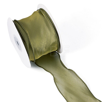 Polyester Mesh Ribbon SRIB-TAC0002-29A-02-1