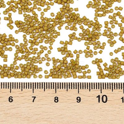 MIYUKI Delica Beads X-SEED-J020-DB0665-1