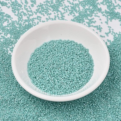 MIYUKI Delica Beads SEED-X0054-DB1576-1