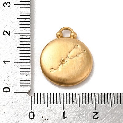 304 Stainless Steel Pendants STAS-L022-306MG-02-1