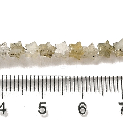 Natural Labradorite Beads Strands G-G085-B25-01-1