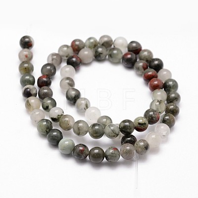 Natural African Bloodstone Beads Strands G-G735-32-10mm-1