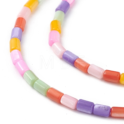 Natural Freshwater Shell Dyed Beads Strands X-SHEL-M018-12-13-1