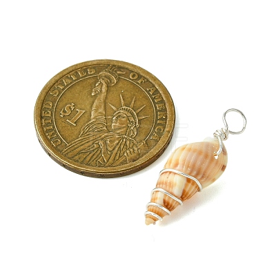 Natural Spiral Shell Pendants PALLOY-JF02793-02-1