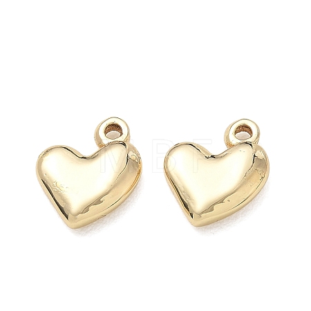 304 Stainless Steel Charms SA-CBA3037-20G-07-1