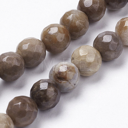 Natural Silver Leaf Jasper Beads Strands G-K181-6mm-O01-1