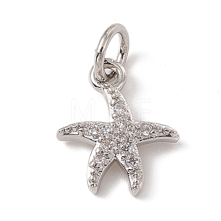 Brass Micro Pave Cubic Zirconia Charms ZIRC-F132-25P-1