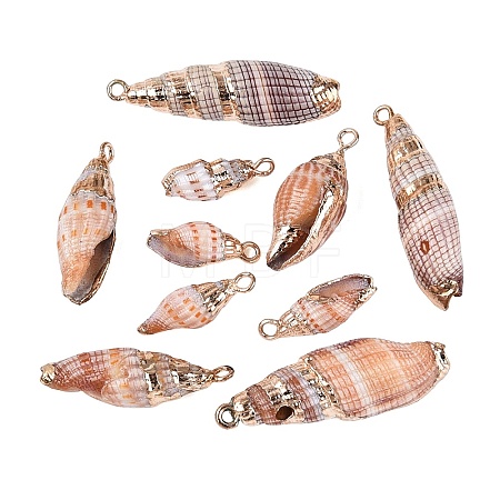 Electroplate Natural Spiral Shell Pendants SSHEL-Q100-49G-1