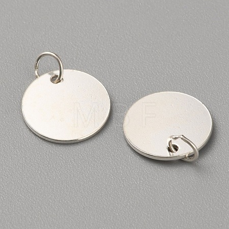 925 Sterling Silver Charms STER-WH0008-09A-S-1