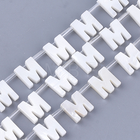 Natural Freshwater Shell Beads SHEL-T012-59M-1