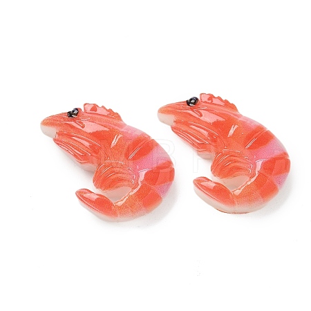 Resin Cabochons RESI-R456-04A-1