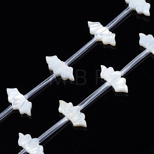 Natural White Shell Beads Strands SSHEL-S278-120A-1
