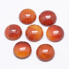 Natural Carnelian Cabochons X-G-P215-15-12mm-2