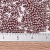MIYUKI Delica Beads X-SEED-J020-DB1167-4
