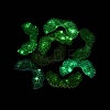 Luminous Opaque Acrylic Beads OACR-N160-54-3