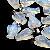 Opalite Pendants G-B127-10P-18-5