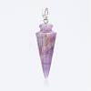 Natural Amethyst Pendants G-P236-07-2