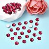 Preciosa® MAXIMA Crystal No Hotfix Flatback Stones Y-PRC-NSS12-90110-2