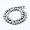 Natural Silver Line Jasper Beads Strands G-F531-10mm-O-3