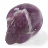 Natural Amethyst Quartz Beads G-B003-06-2