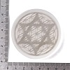 Flat Round Natural Selenite Slice Coasters DJEW-C015-02I-3