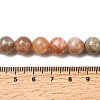 Round Natural Multi-Moonstone Beads Strands G-I176-09-10mm-5