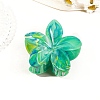 Resin Claw Hair Clips PW-WG0E0E6-13-1