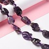 Natural Amethyst Beads Strands G-B024-14-4