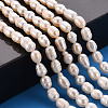 Natural Cultured Freshwater Pearl Beads Strands PEAR-S012-41E-5