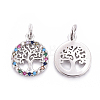 Brass Micro Pave Cubic Zirconia Charms ZIRC-L070-45P-2