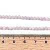 Natural Kunzite Beads Strands G-G343-B04-3mm-5