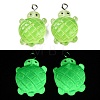 Gradient Color & Luminous Opaque Resin Pendants RESI-S011-01F-2