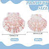 2 Styles Natural Shell SSHEL-WR0001-06B-2