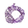 Natural Amethyst Beads Strands G-P568-C04-01-3