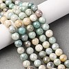 Natural Amazonite Beads Strands G-O164-02-8mm-5