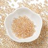 Glass Seed Beads SEED-H002-A-A611-2