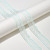 Polyester Lace Ribbon FB-CBA59DF-01B-1