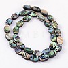 Natural Abalone Shell/Paua Shell Beads Strands SSHEL-G003-8-6x10mm-2