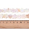 Natural Freshwater Shell Beads Strands SSHEL-N040-18-4