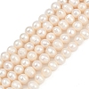 Natural Cultured Freshwater Pearl Beads Strands PEAR-I007-07J-10A-2