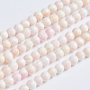 Natural Pink Shell Beads Strands LS-SSHEL-L016-18C-1