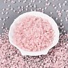 FGB Grade A Frosted Glass Seed Beads SEED-Q040-04A-08-3